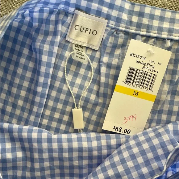 Cupio Light Blue Gingham Maxi Skirt with Ruffle Trim - Picture 4 of 5